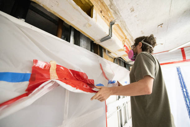 Professional Mold Removal in Creston, IA