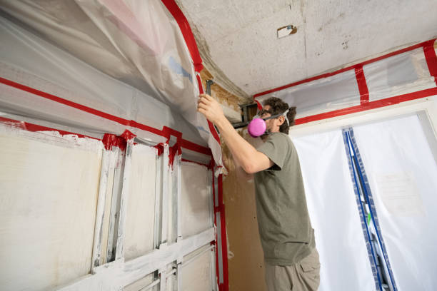 Best Mold Damage Restoration  in Creston, IA